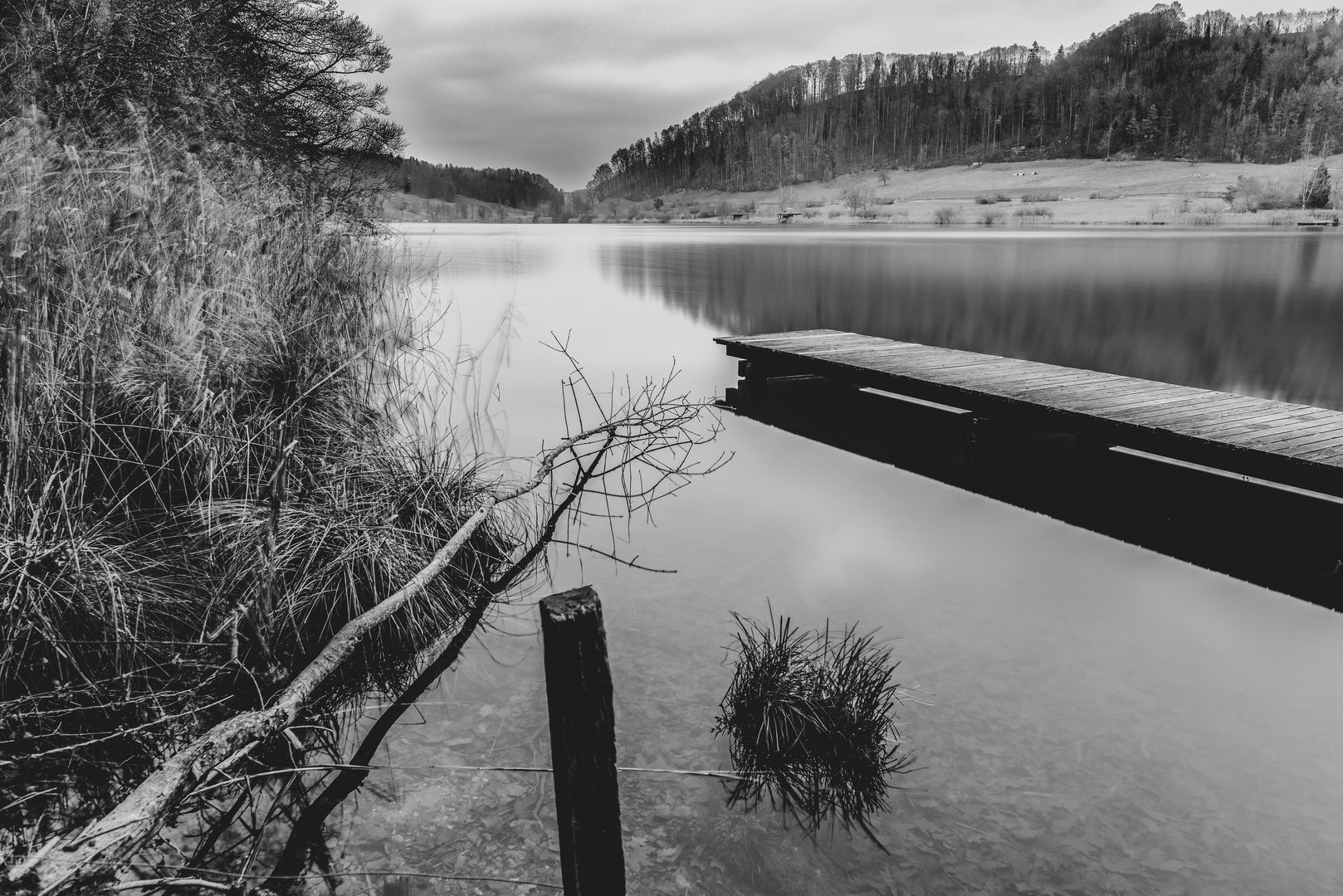 Türlersee