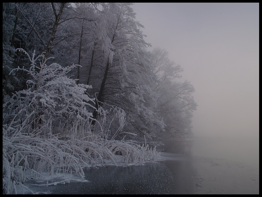 Türlersee II