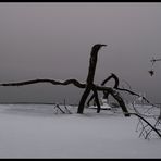 Türlersee IV