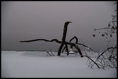 Türlersee IV