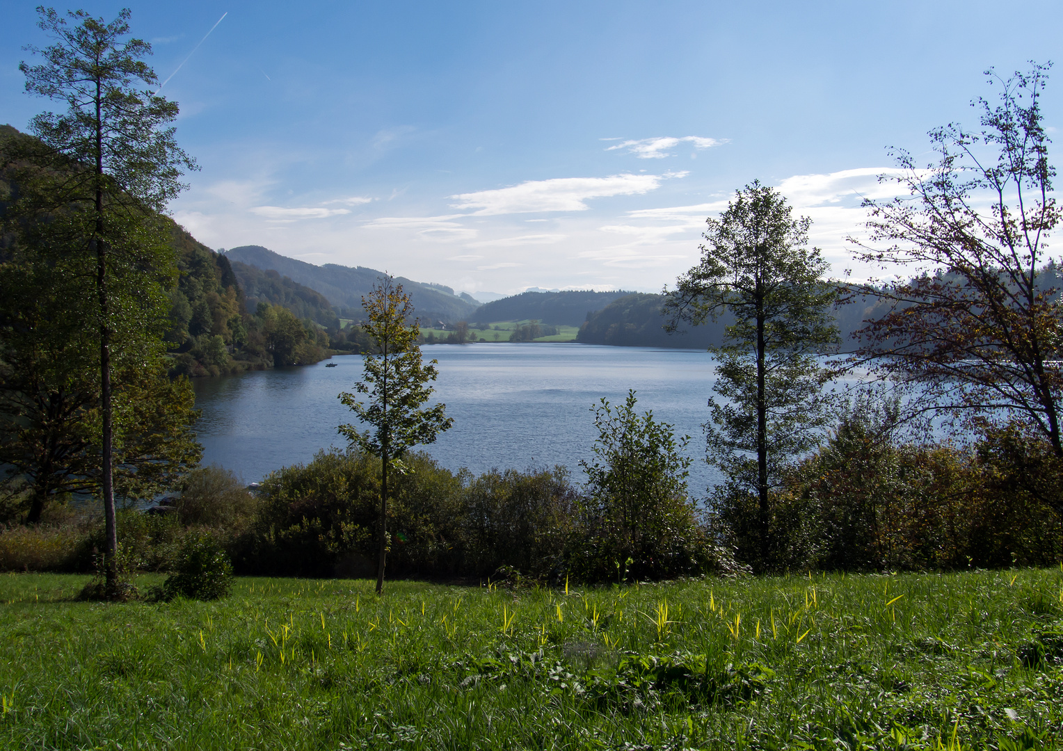 Türlersee; nur eine halbe Stunde Fahrt von Zürich mit dem Bus. Zu Fuss ca. 2 bis 3 Stunden.