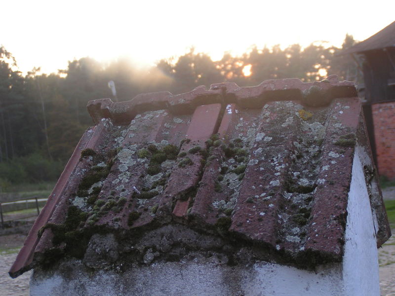 Türmchen als Stütze der lieben Sonne