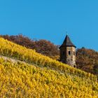 Türmchen im herbstlichen Weinberg