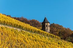 Türmchen im herbstlichen Weinberg