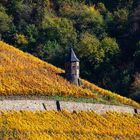 Türmchen im Weinberg