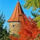 Türmchen - Mainbernheim in Mainfranken