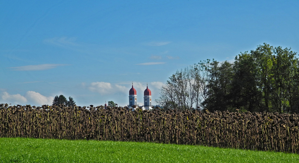 Türme der Kosterkirche St. Urban