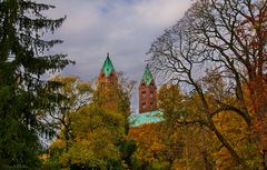 Türme des Speyer Dom