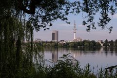 Türme hinter Bäumen