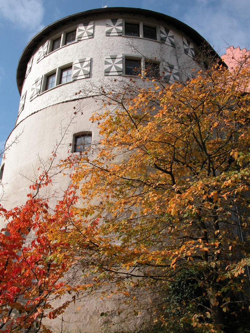 "Türmle" von Engen