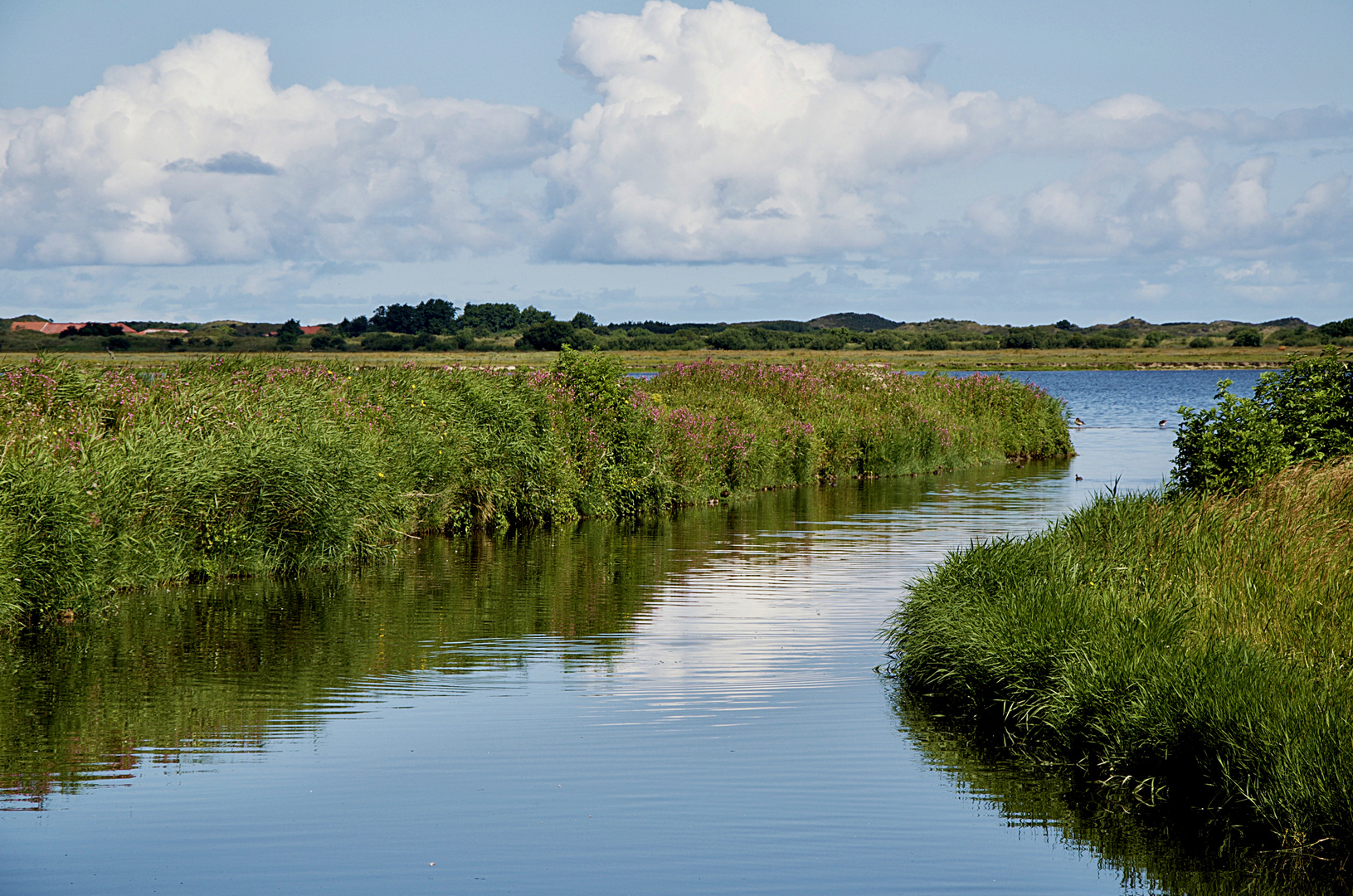 Tüskendör See