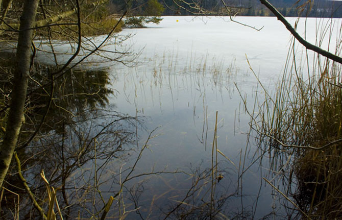 Tüttensee