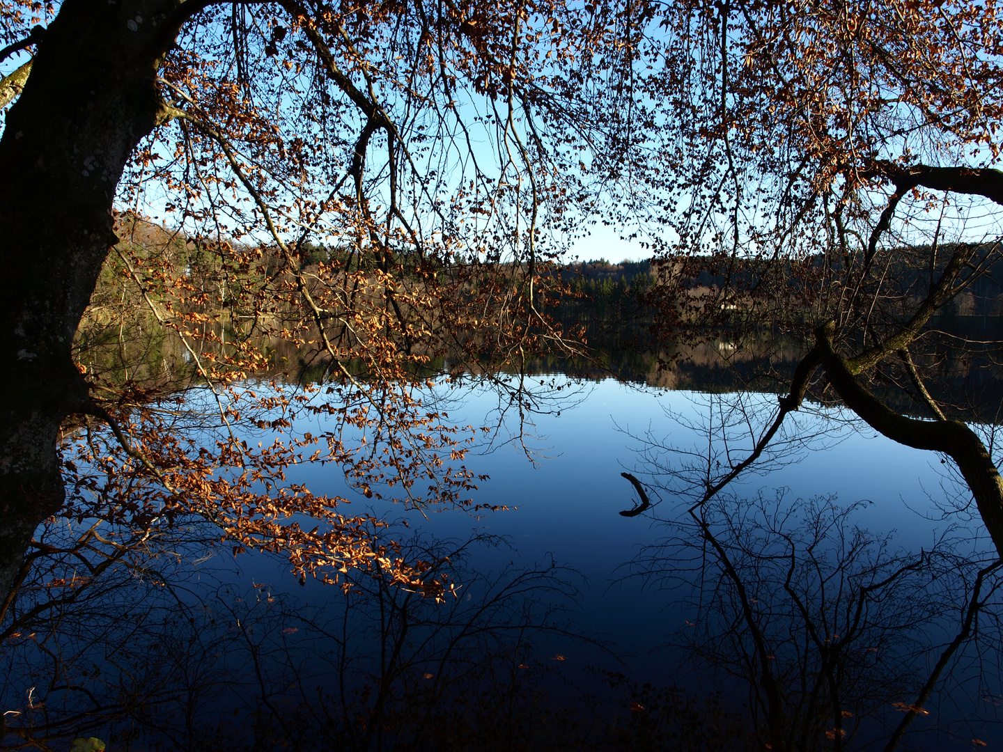 Tüttensee