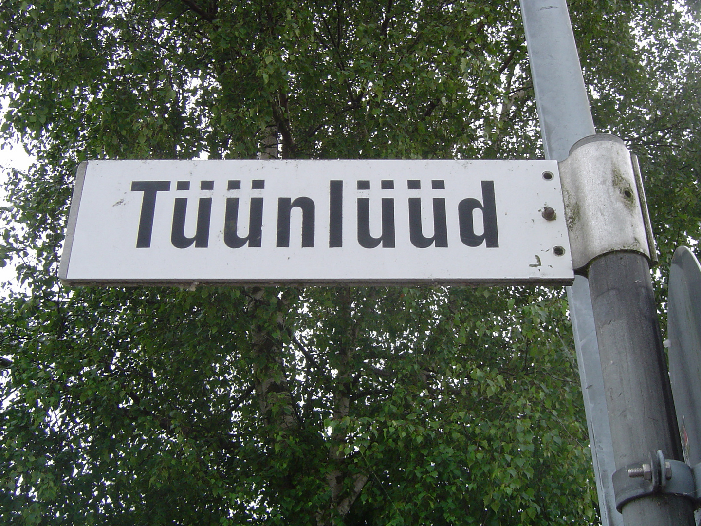 Tüünlüüd