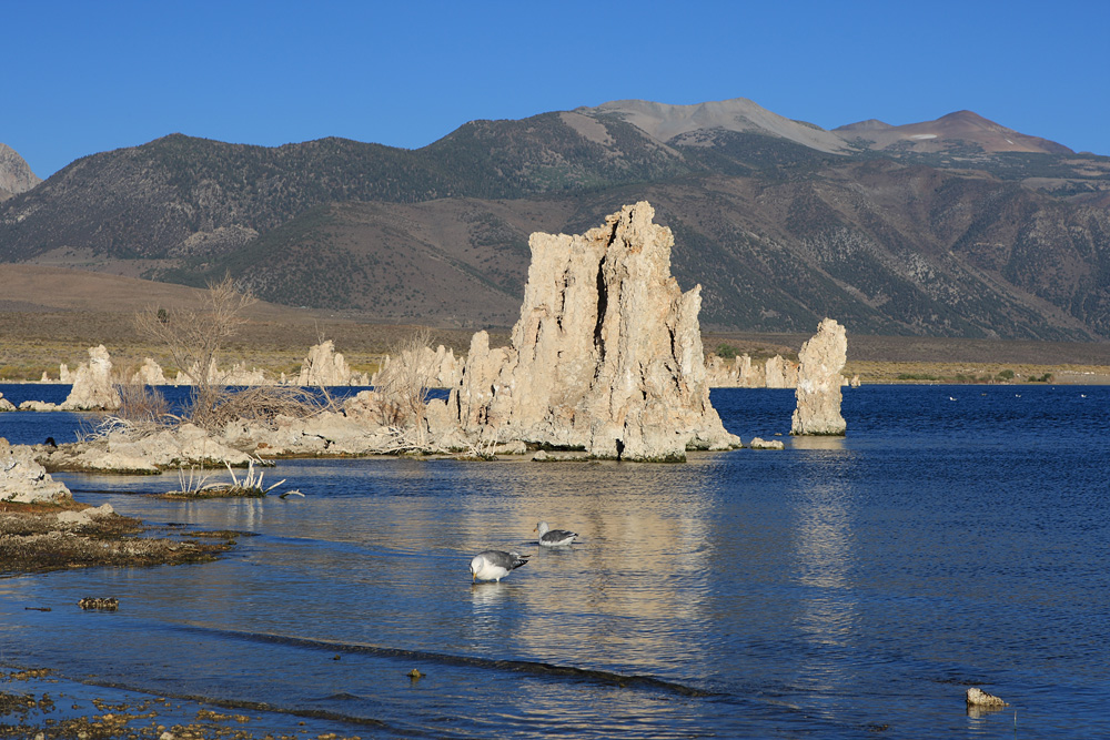 Tufas im Mono Lake:-)