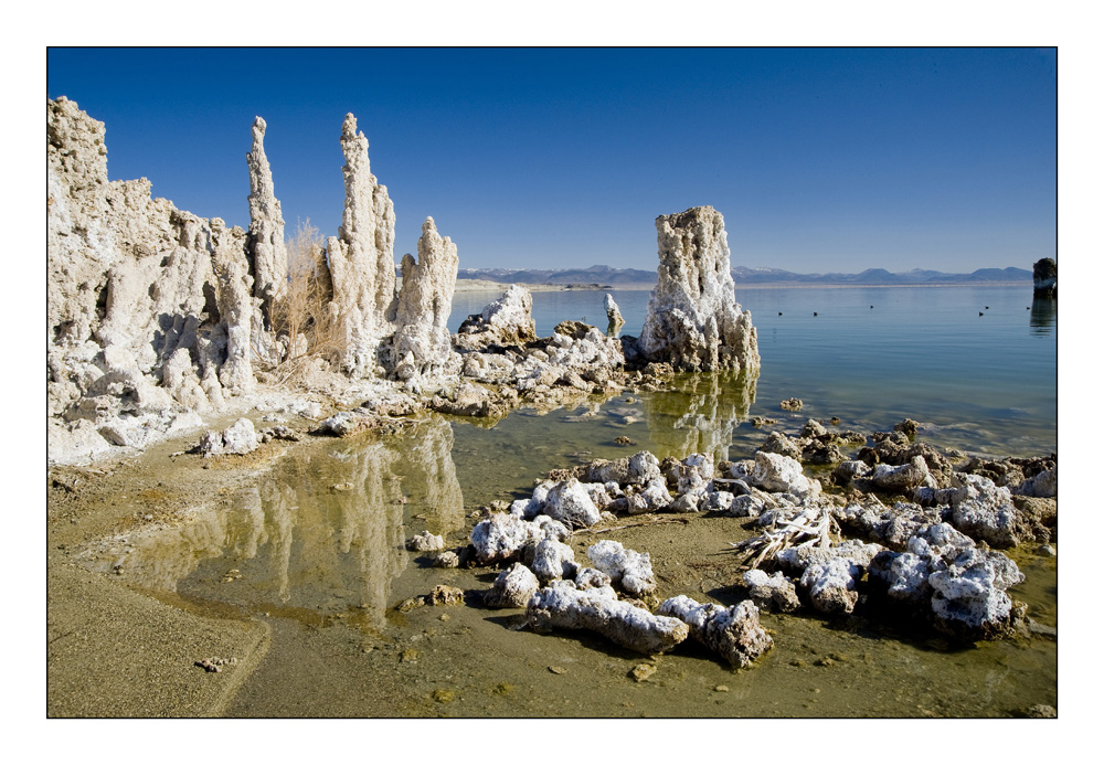 Tufas im und am Mono Lake