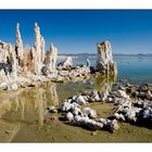 Tufas im und am Mono Lake