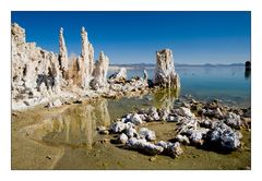 Tufas im und am Mono Lake