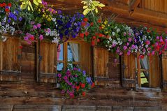 Tuffalm - Südtirol