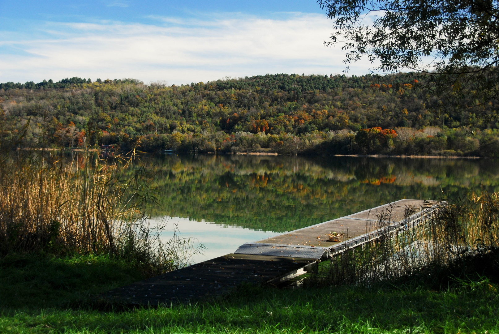 tuffo nel verde