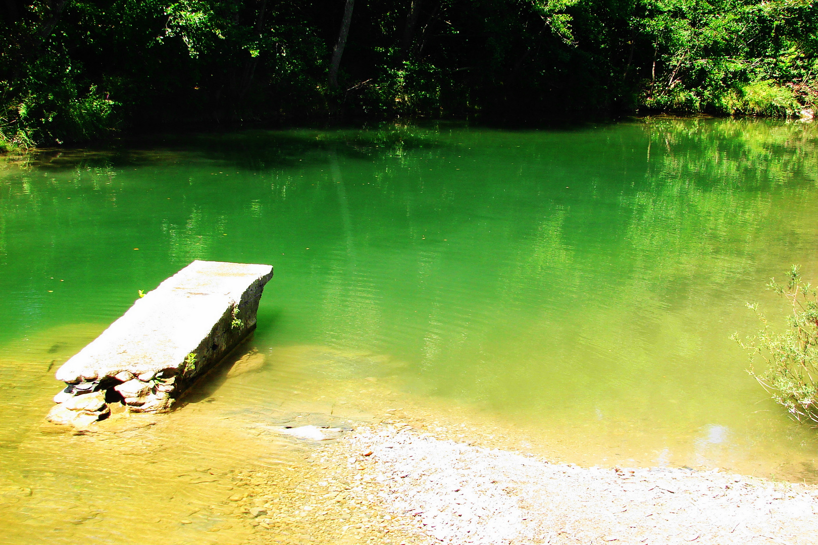 "Tuffo nel verde" - Toscana, Val di Merse