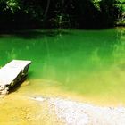 "Tuffo nel verde" - Toscana, Val di Merse