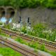 Tilt-Shift