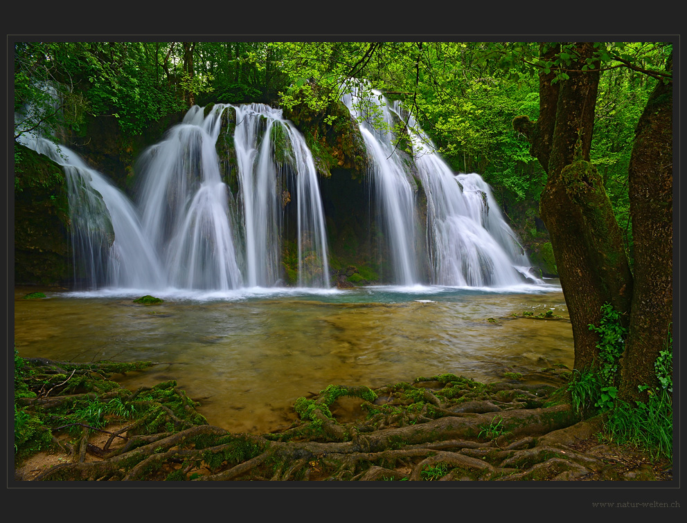 Tuffwasserfall bei Arbois - DRI