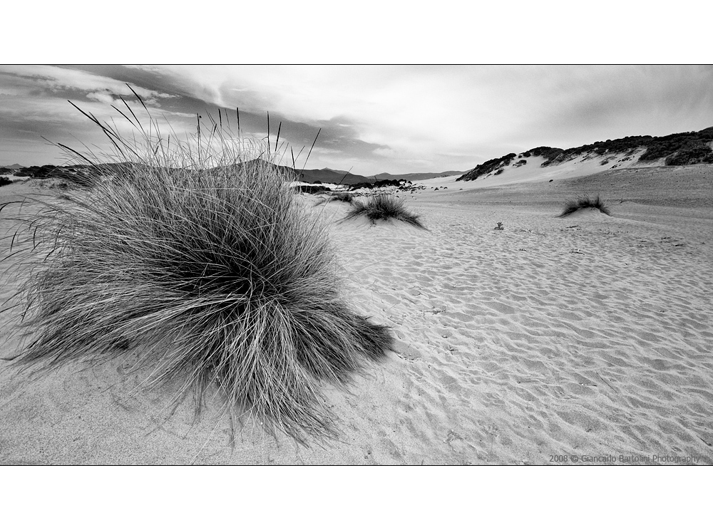 Tufts and dunes