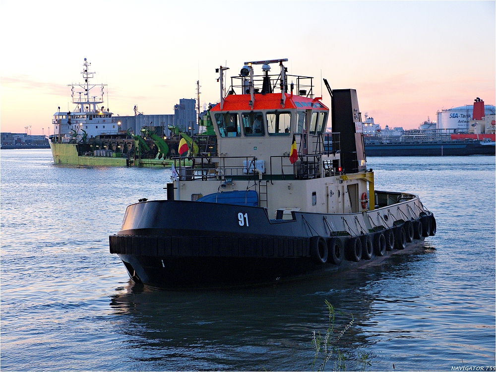 Tug 91 / Antwerpen