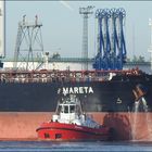 Tug BEAGLE, Rotterdam