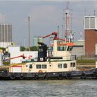 Tug N° 86 / Antwerpen