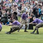 Tug o' war (Schottland 8)