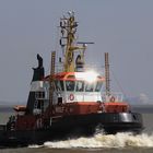 TUG on ELBE