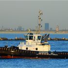 Tug VENUS, Rotterdam.