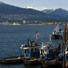 Tugboats in Vancouver's Harbour