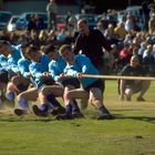 Tug'O'War