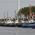 Tugs im Scheurhafen / Rotterdam