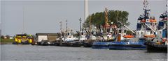 Tugs im Scheurhafen / Rotterdam