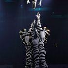 TUI Feuerwerk der Turnkunst 17.01.2012 - Zebras (Akrobatik) 181