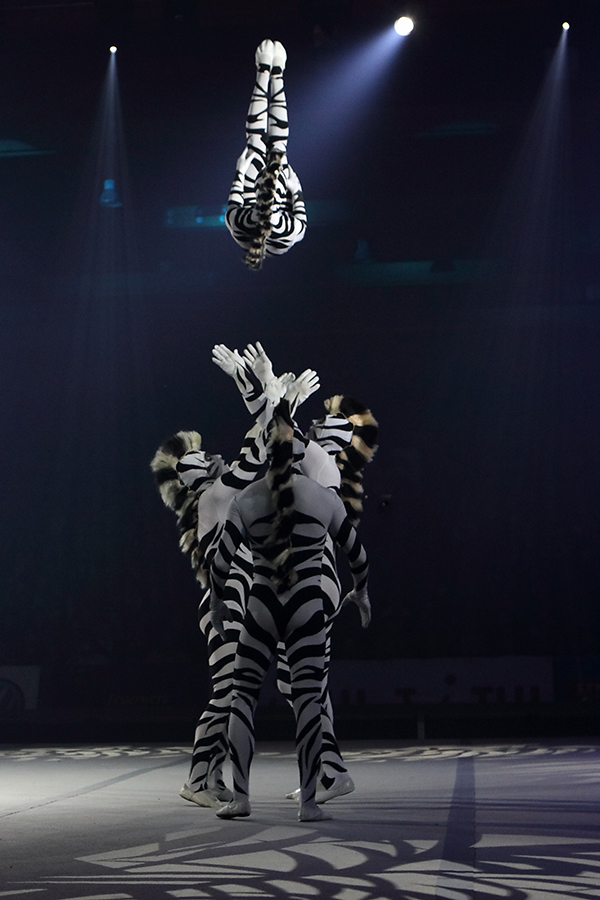 TUI Feuerwerk der Turnkunst 17.01.2012 - Zebras (Akrobatik) 182