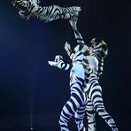TUI Feuerwerk der Turnkunst 17.01.2012 - Zebras (Akrobatik) 185