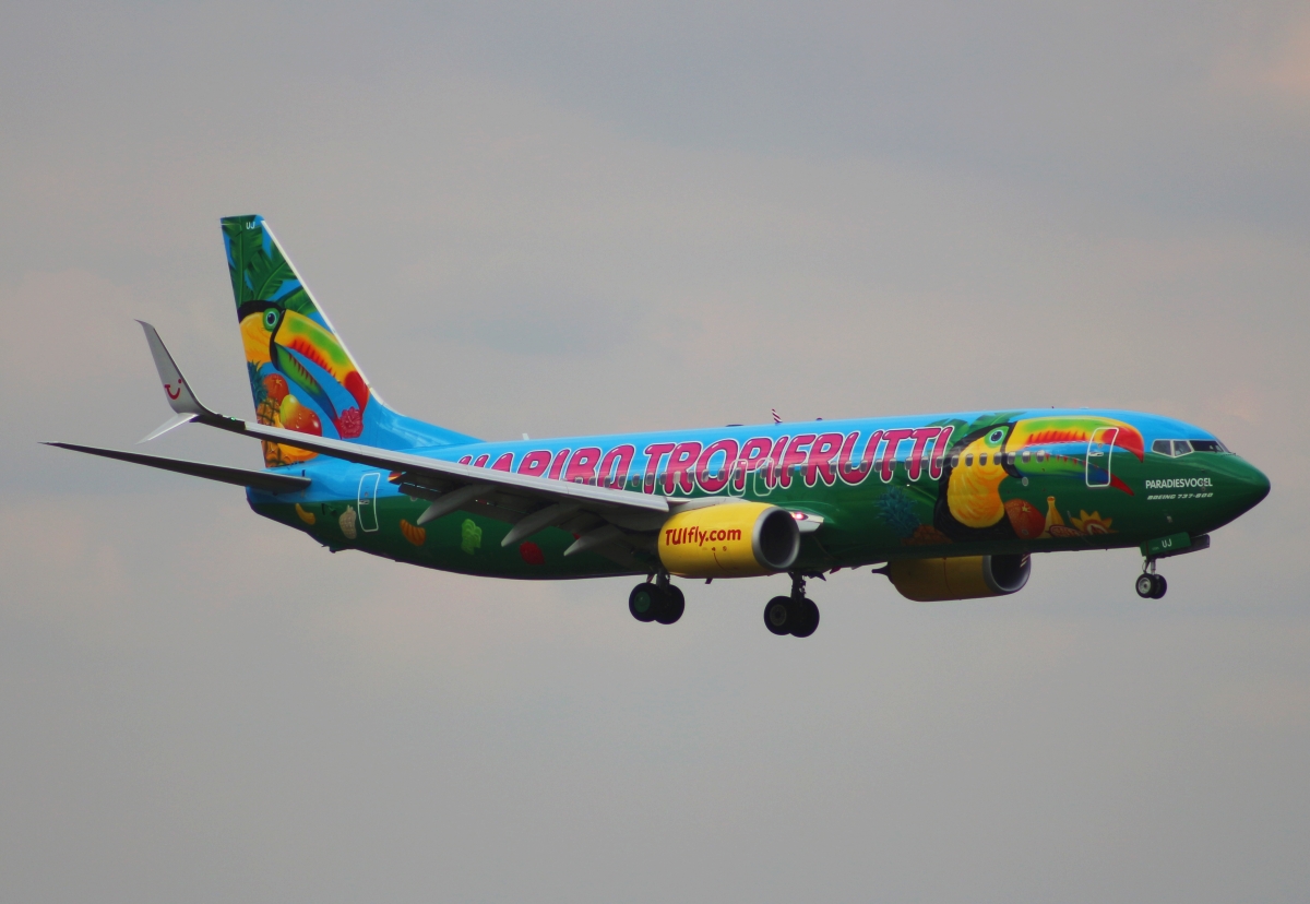 TUIfly Boeing 737-800(WL) "Paradiesvogel"