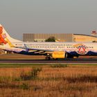 TUIfly Boeing 737-8K5 D-AHFR "Bärenmarke"