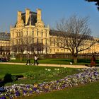 Tuilerien Louvre  París