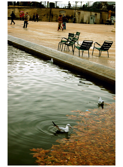 Tuileries