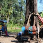 TUK TUK Motorrest