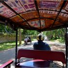 Tuk-Tuks to the Temples ...