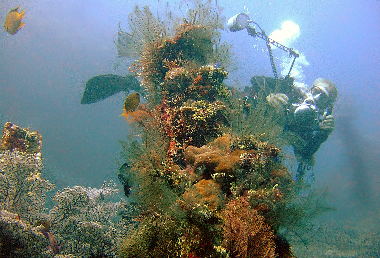 Tulamben diving for photo shooting