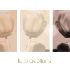 tulip creations